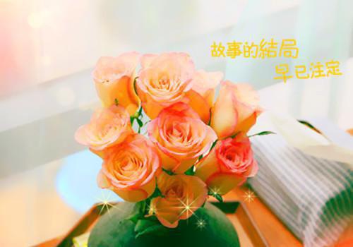 姜栀栀顾景完整未删减版在线阅读 姜栀栀顾景结局