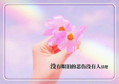 主角是简宁江熠川的小说免费阅读全文大结局