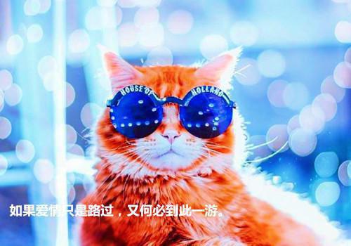 《宋行舟江灵雪小说》无弹窗全文免费阅读