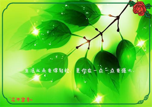 江遇舟周玲玲江舒晚章节目录 扔掉丈夫私生子后，我成了首富小说免费阅读无弹窗