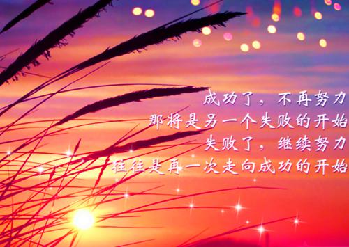卓雅换车赵洪小莹赵思最新章节在线阅读