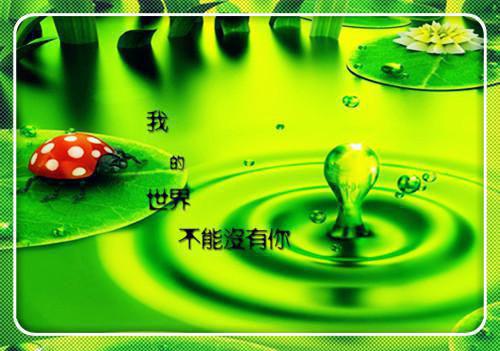 安阳丽丽免费阅读小说 安阳丽丽第四章