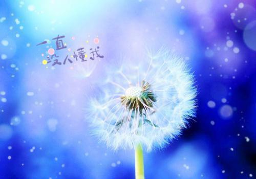 黎卿苏澈小说免费试读 黎卿苏澈第2章