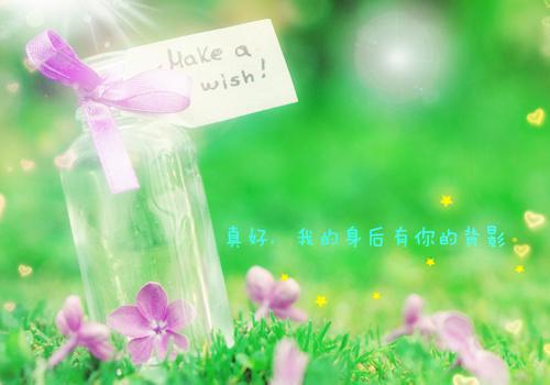 夏澜安秦煊明免费阅读 夏澜安秦煊明最新章节目录