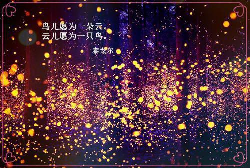 月不照我免费无弹窗 段名臣小说阅读