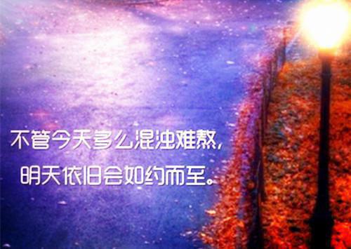 完美标本：结局顾淮白月小说(顾淮白月)章节阅读