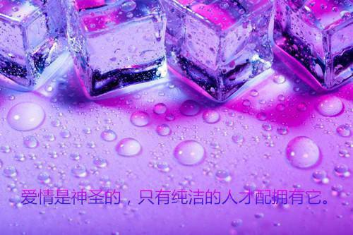 榜下拒选状元郎？重生后我捉婿嫁太监最新章节 邓知远赵念心在线阅读