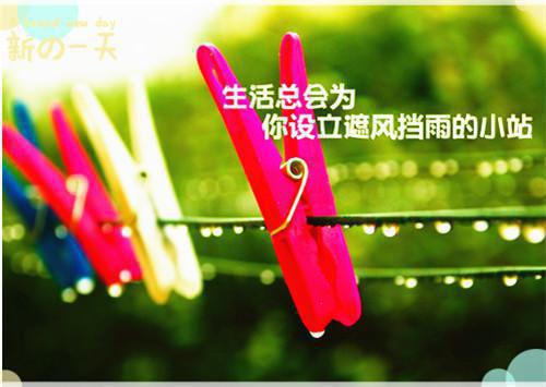 嫁替身你毫不犹豫，离开后你哭什么？在线阅读 宋淮江映晚小说