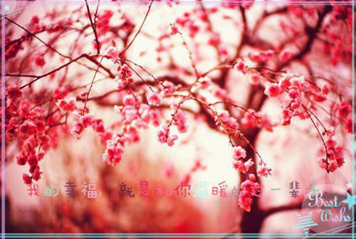 山栀司怀铮完结篇(偷皇宫养皇子谁挡路谁就死)完整章节列表_笔趣阁：后续+畅读，偷皇宫养皇子谁挡路谁就死免费一读到底全程无广大结局_（山栀司怀铮后续+完结）