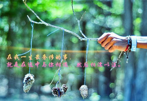 林修云叶倩小说在哪里看 林修云叶倩在线阅读