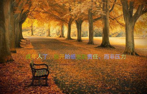 完结文重生后，九爷他甘愿当工具人全局最新章节列表_完结文重生后，九爷他甘愿当工具人全局全文免费阅读（孟明萱严漠九）