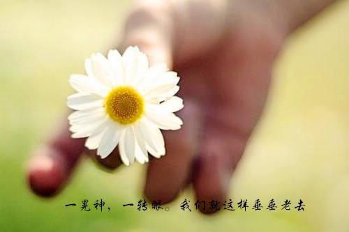 当女配看见弹幕后被病娇男主强制爱了：+后续+结局（江柠裴纪洲）全文免费阅读无弹窗大结局_当女配看见弹幕后被病娇男主强制爱了：+后续+结局最新章节列表_笔趣阁（江柠裴纪洲）