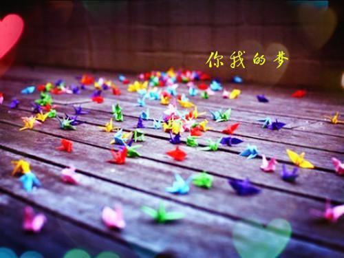 我选择离开后，放任情人拖行我妈的妻子悔疯了徐晏清温意眠：全文+番外徐晏清温意眠小说在线免费阅读(大结局)