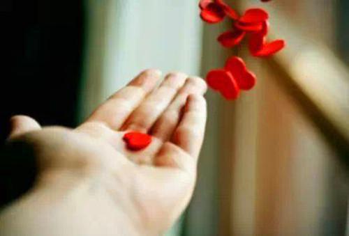 郑悠然陆司隶免费阅读目录 郑悠然陆司隶小说全文