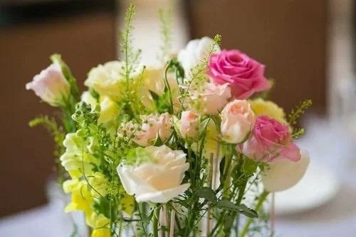 沈棠安程迹沈昭宁江彻第3章 沈棠安程迹沈昭宁江彻小说免费阅读