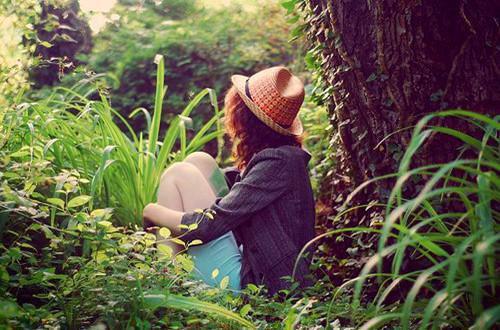 程以霜池婉裴晏礼小说 程以霜池婉裴晏礼完整版免费阅读