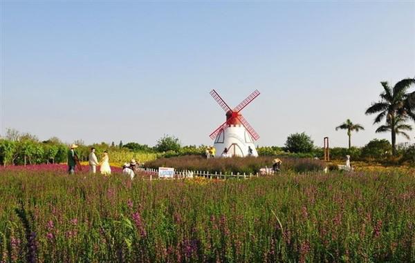 情散缘灭，永不相见温岚顾亦衡全文阅读(完整版)