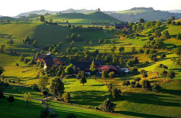 重生崛起:真千金又飒又甜免费章节抢先阅读