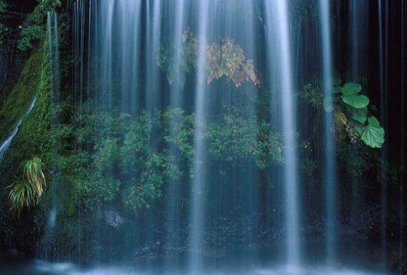 白苏冉沈清许小说 白苏冉沈清许全文免费阅读