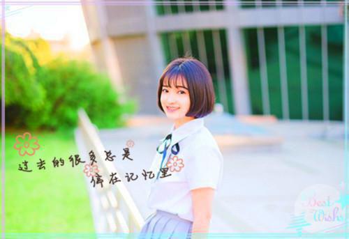 (抖音小说)洛砚青雨小说全文阅读免费