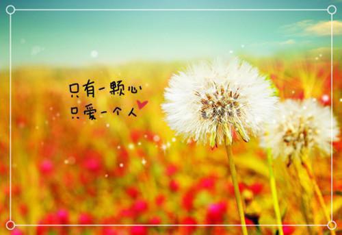 林远柳云小说免费阅读最新 修行返还，我靠师妹内卷成大帝完整版