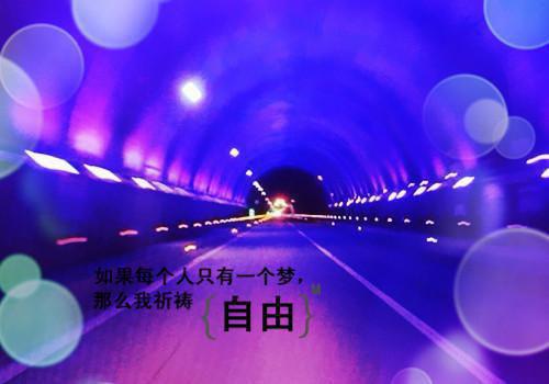 (番外)+(全文)拍卖会点天灯后，男友拍卖我365张私房照：+结局+番外(林书雅秦斯年)完结阅读无弹窗大结局_(拍卖会点天灯后，男友拍卖我365张私房照：+结局+番外)最新章节列表_笔趣阁(林书雅秦斯年)