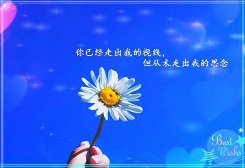 张尧章节目录 焚娘小说免费阅读无弹窗