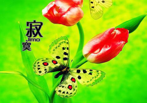 林安安顾泽宴小说章节免费阅读 林安安顾泽宴无弹窗