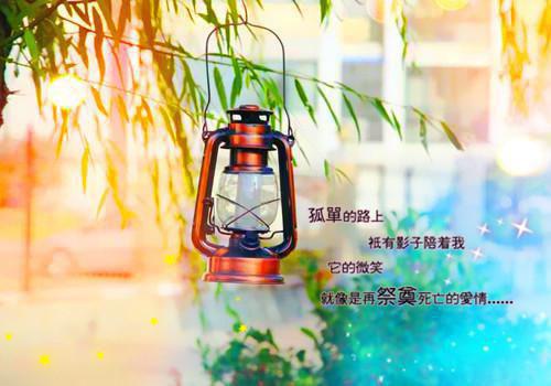 厉司爵时柠小说 厉司爵时柠免费章节阅读