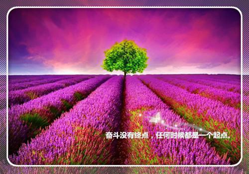 深情不及悲欢长：结局+番外小说全文免费阅读无弹窗大结局_（苏晨语沈临希）深情不及悲欢长：结局+番外最新章节列表_笔趣阁（苏晨语沈临希）