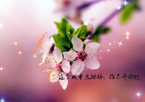 墨云芙宋煜林朝朝是什么书 墨云芙宋煜林朝朝免费章节在线阅读