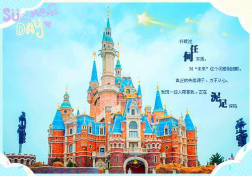 沈知衡许蛮宋景意李言免费章节最新 至此流年守孤影by佚名