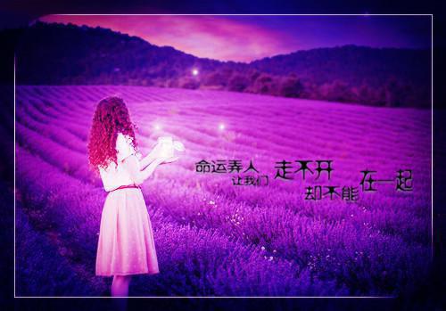 林凡张胥小说 林凡张胥全文免费阅读