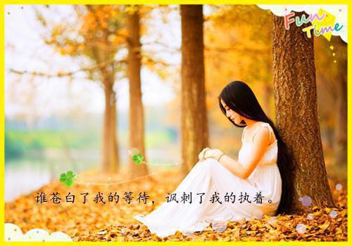 主角名是凤浠胤川全文免费阅读正版