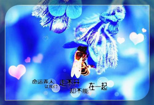 后来烟雨皆散尽在线阅读 安文瀚白若沁小说