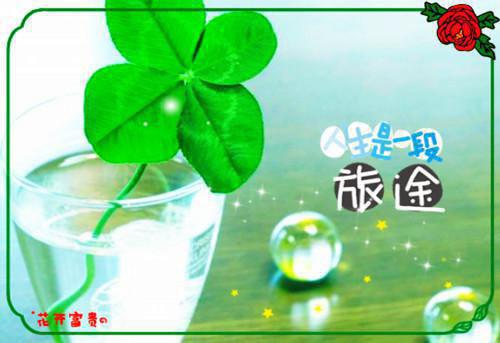 （月落星沉）月落星沉(慕容月落)整书在线无广告高口碑小说