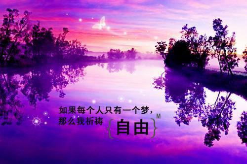 陆廷，活该你认错人，一辈子被骗佚名 安星苒陆廷安沫颜安言希陆时野小说
