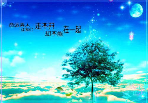 (番外)+(结局)陆依霜轩辕翊(陆依霜轩辕翊：+结局+番外)全文免费阅读无弹窗大结局_(陆依霜轩辕翊)最新章节列表_笔趣阁(陆依霜轩辕翊：+结局+番外)