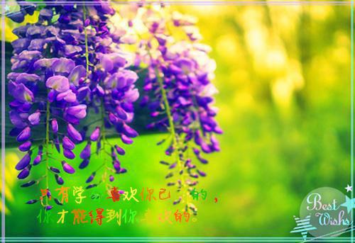 转身真相无广告 听晚裴序在线免费阅读