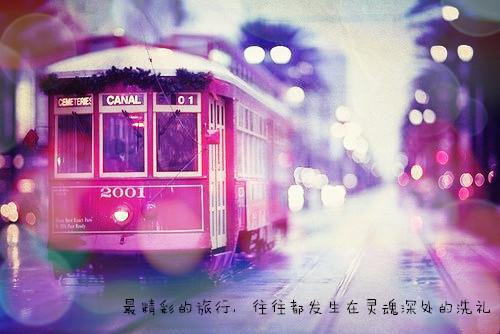 产检报告一切正常，全家却都盼着我去死：全文+后续无广告（师成安茵茵）小说完整章节免费阅读_产检报告一切正常，全家却都盼着我去死：全文+后续精彩小说目录阅读（师成安茵茵）