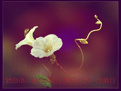 全文浏览人面桃花长相忆：+全文+后续+完结（阮雾梨闻砚辞）_人面桃花长相忆：+全文+后续+完结（阮雾梨闻砚辞）全文结局