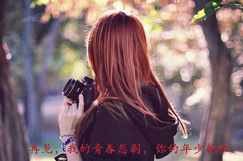 城白婉免费小说 城白婉完结版在线阅读