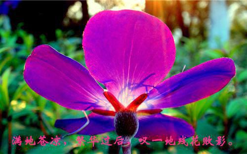 沈知音顾砚辞免费阅读小说 沈知音顾砚辞第4章