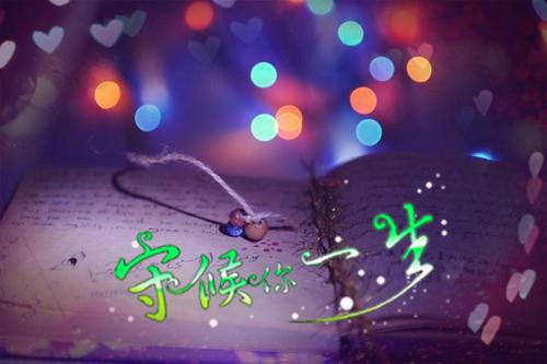 主角名是林文斌许薇薇全文免费阅读正版