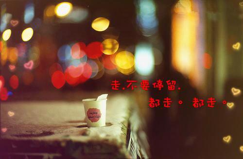 沈棠林秋秋全文阅读 沈棠林秋秋小说最新章节