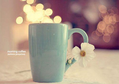 心如枯木难逢春：结局+番外（沈言心陆屿）全文免费阅读无弹窗大结局_心如枯木难逢春：结局+番外（沈言心陆屿）最新章节列表_笔趣阁沈言心陆屿