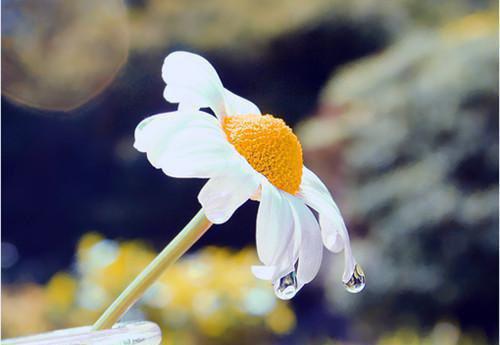 (番外)+(全文)苔藓爬满旧日诺言:全文+后续小说免费下载阅读_(顾砚廷慕晚夏)苔藓爬满旧日诺言:全文+后续最新章节列表_笔趣阁(顾砚廷慕晚夏)