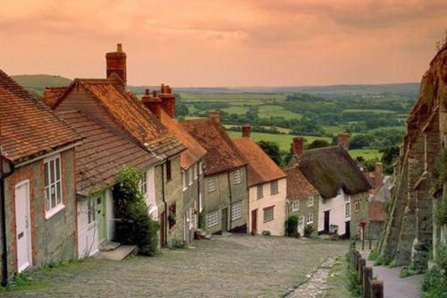 (抖音小说)顾时琛许宛秦向晚小说全文阅读免费