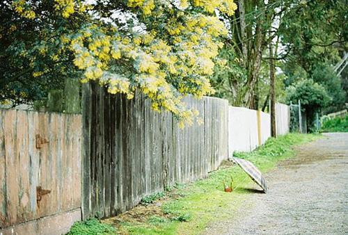 元璟赵清黎完整未删减版在线阅读 元璟赵清黎结局