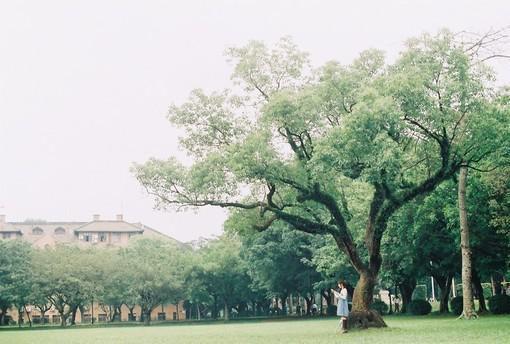 宋清篁商御衡哪里可以看 宋清篁商御衡免费阅读第16章